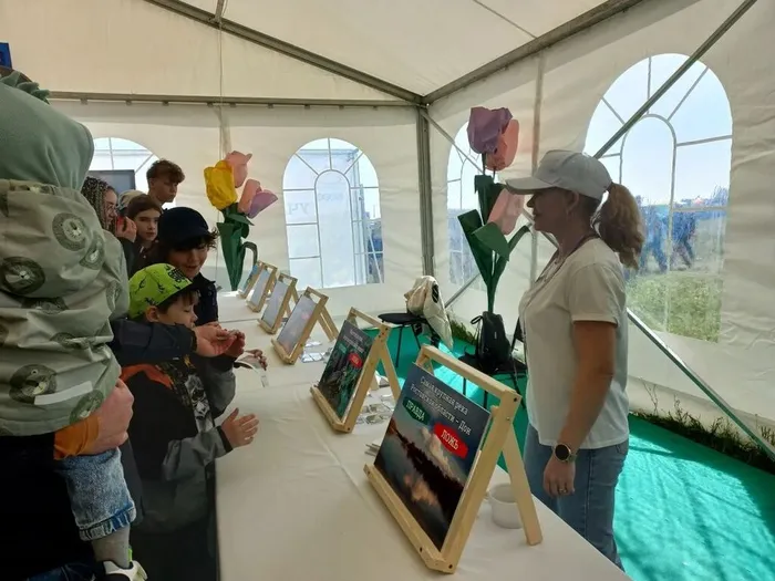 викторина Верно, неверно